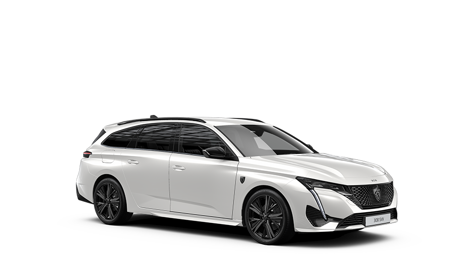 Select a model - 308 Wagon